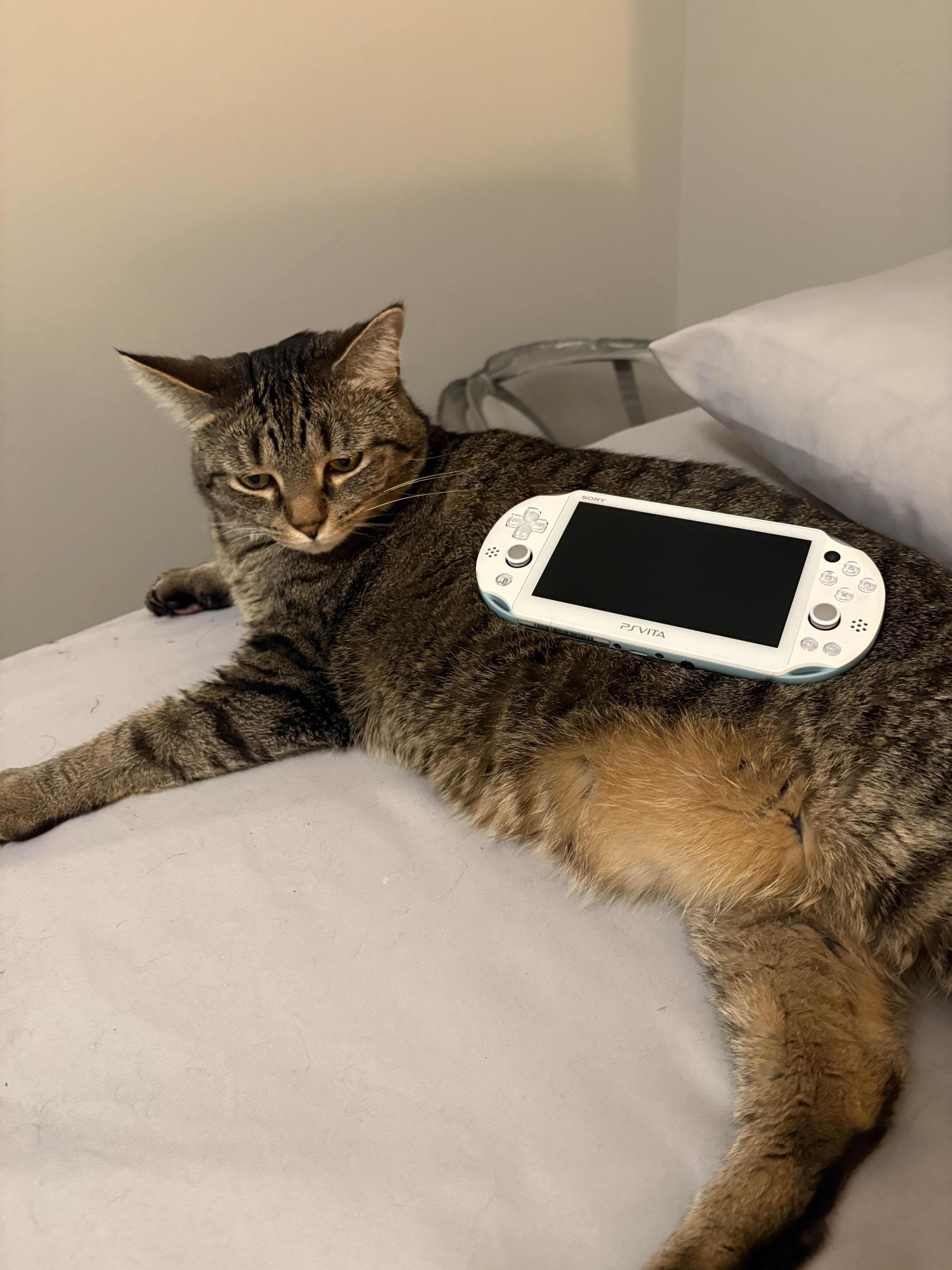 tipper with a ps vita
